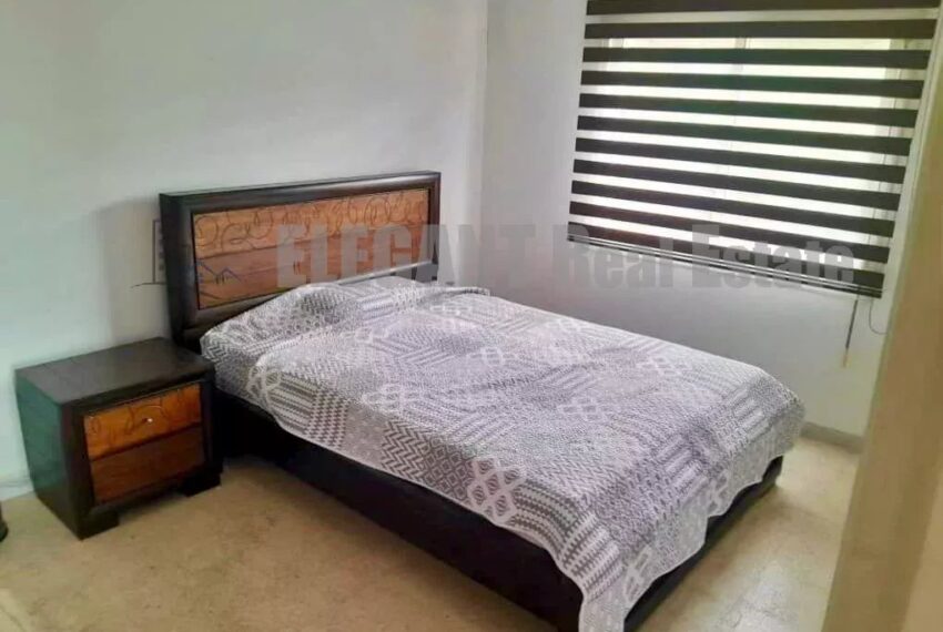 Picture-85708736-4-watermark