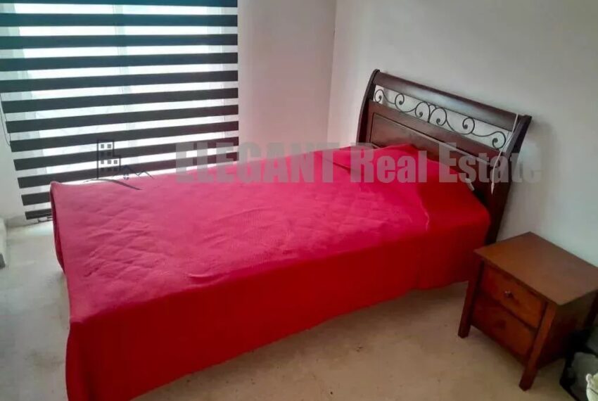 Picture-85708736-6-watermark