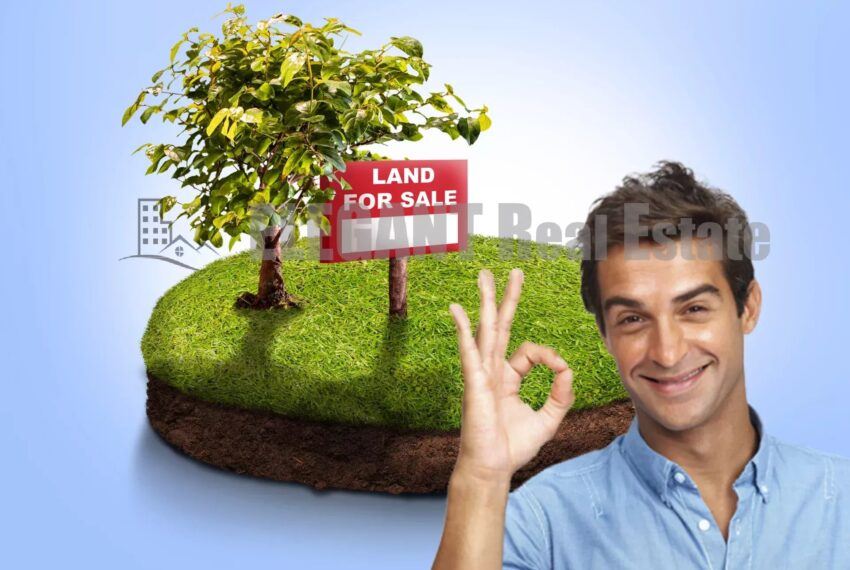 Picture-85934367-1-watermark