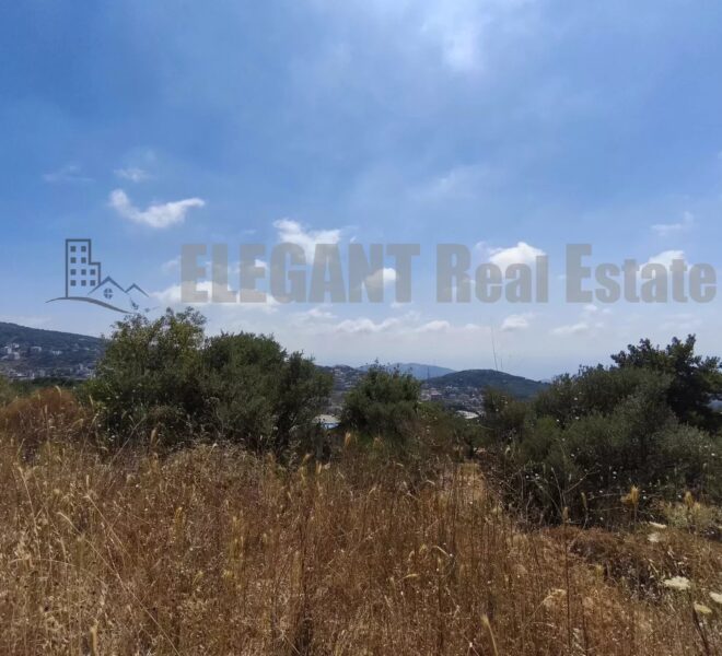 Picture-85934401-1-watermark