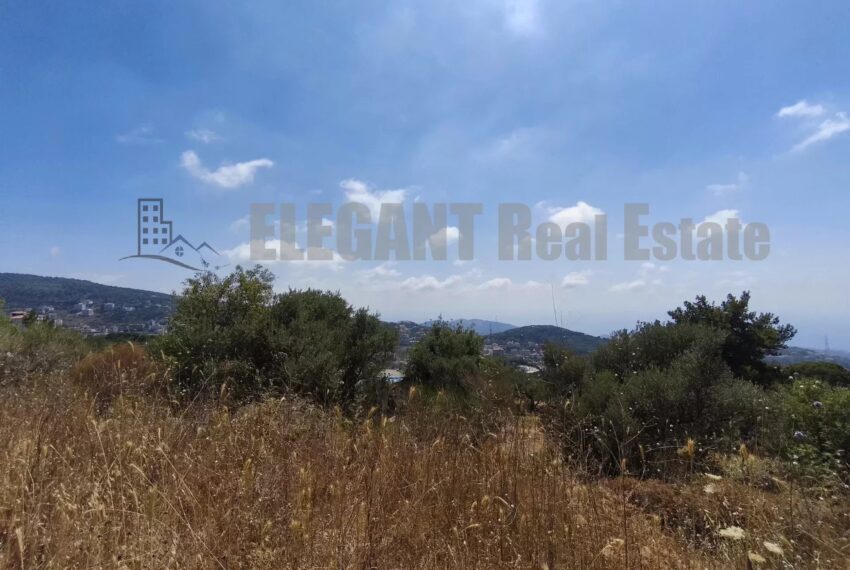 Picture-85934401-1-watermark