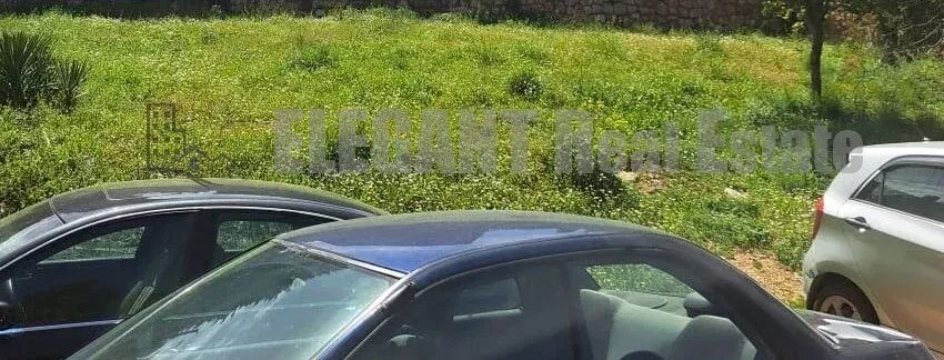 Picture-85940764-1-watermark