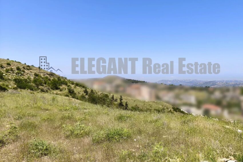 Picture-85963267-2-watermark