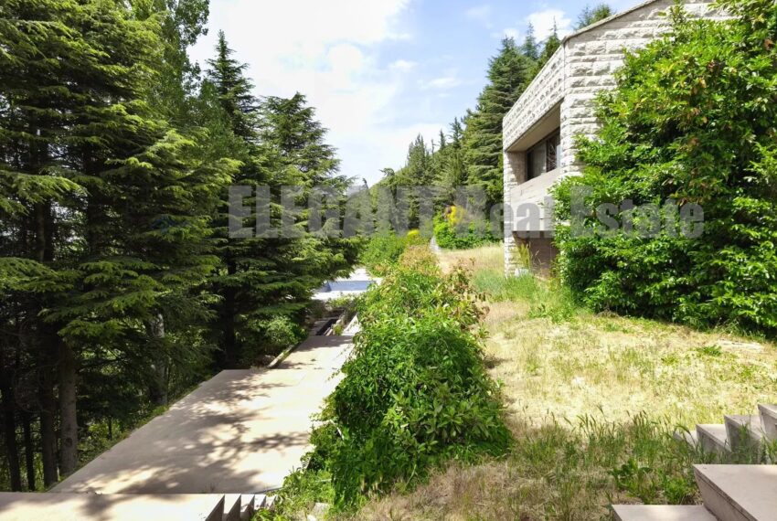 Picture-85966513-2-watermark