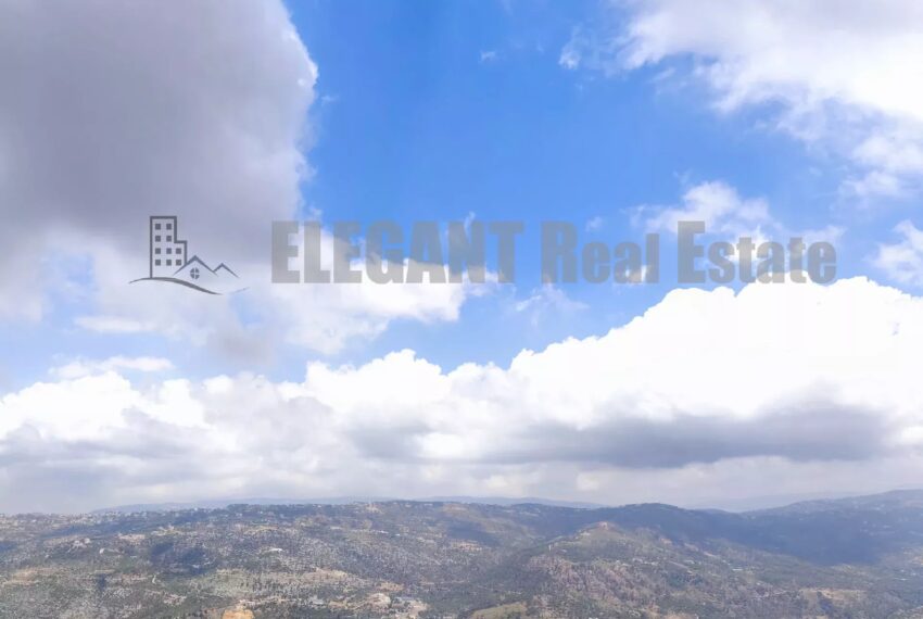 Picture-85972467-1-watermark