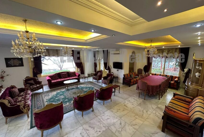 Picture-85972467-4-watermark