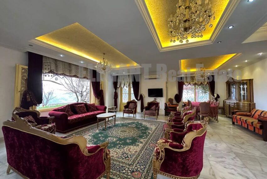 Picture-85972467-5-watermark