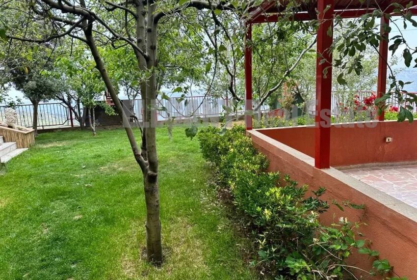 Picture-85972467-7-watermark