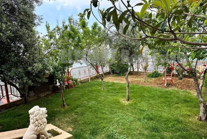 Picture-85972467-9-watermark