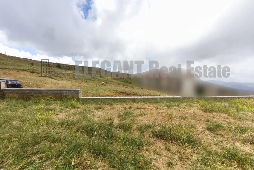 Picture-85972512-3-watermark