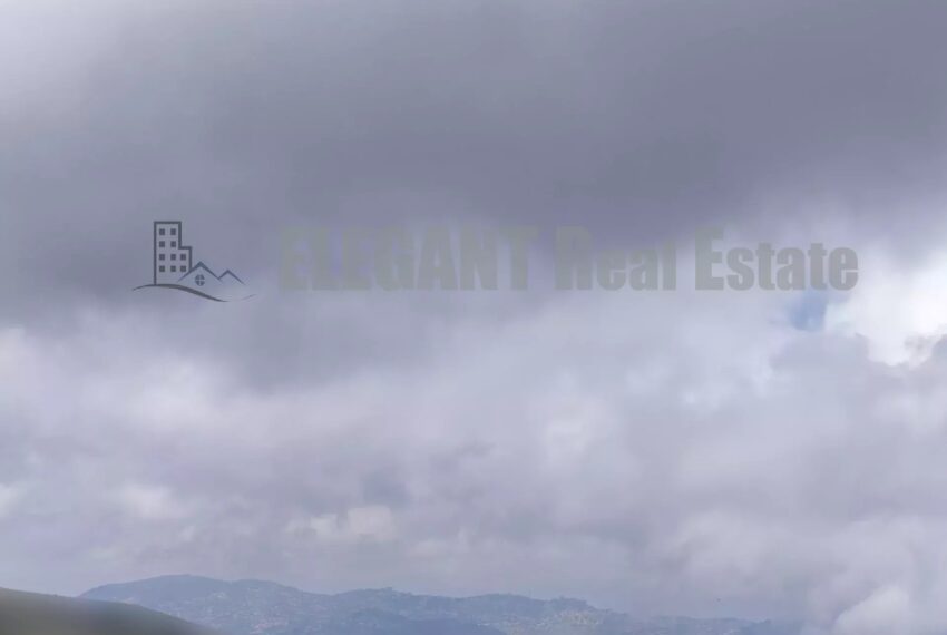 Picture-85972512-4-watermark