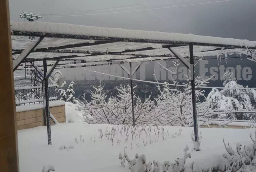 Picture-85998637-8-watermark