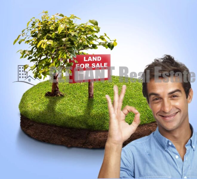 Picture-86000651-1-watermark