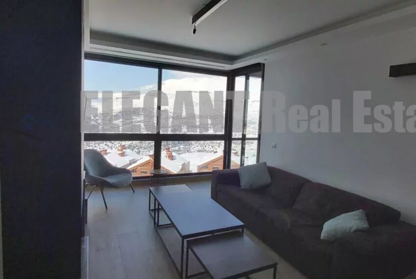 Picture-86001721-4-watermark