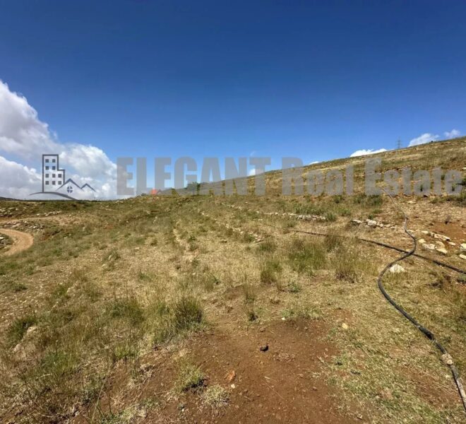 Picture-86011454-1-watermark