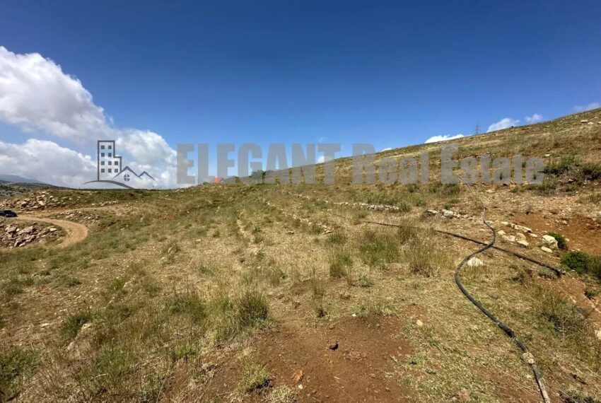 Picture-86011454-1-watermark