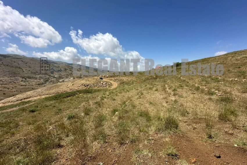 Picture-86011454-2-watermark