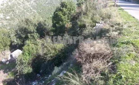 Picture-86641583-1-watermark