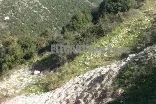 Picture-86641583-2-watermark