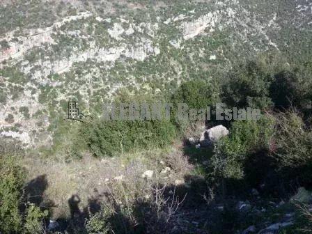 Picture-86641583-3-watermark