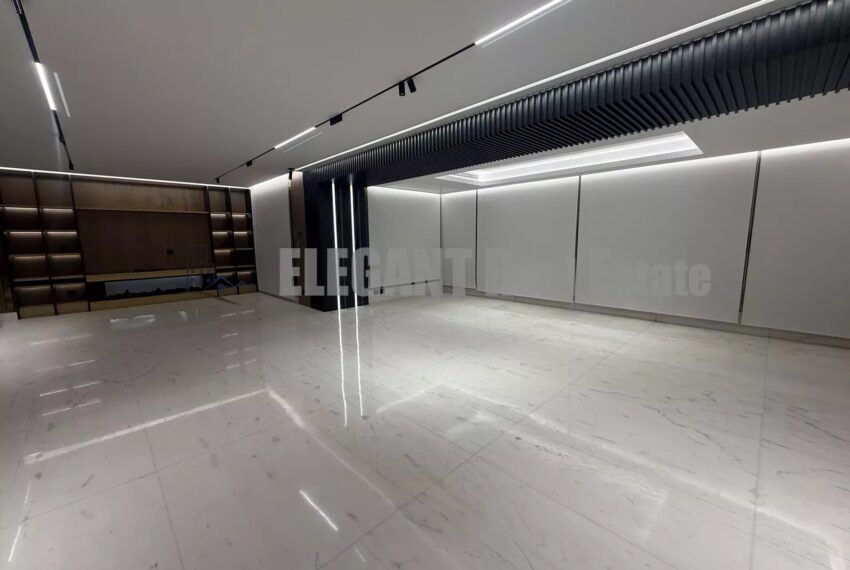 Picture-86670360-5-watermark