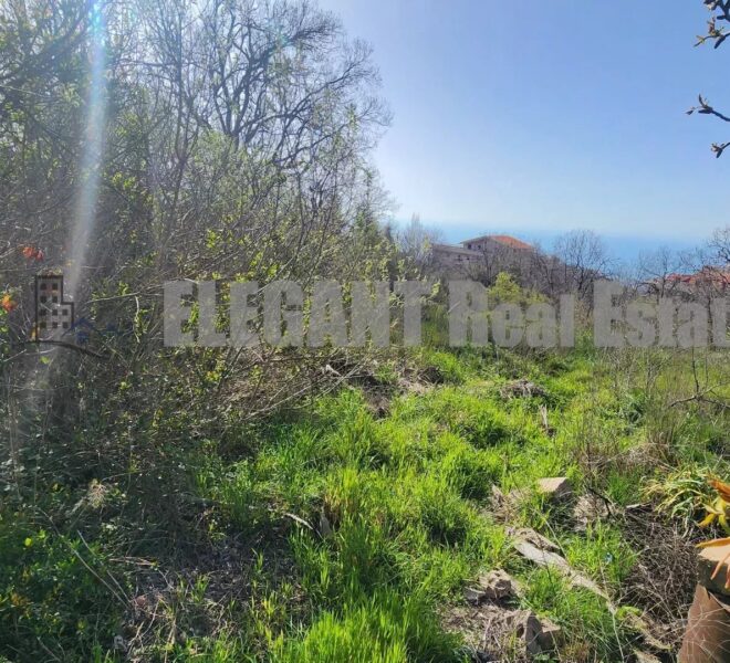 Picture-86773866-1-watermark