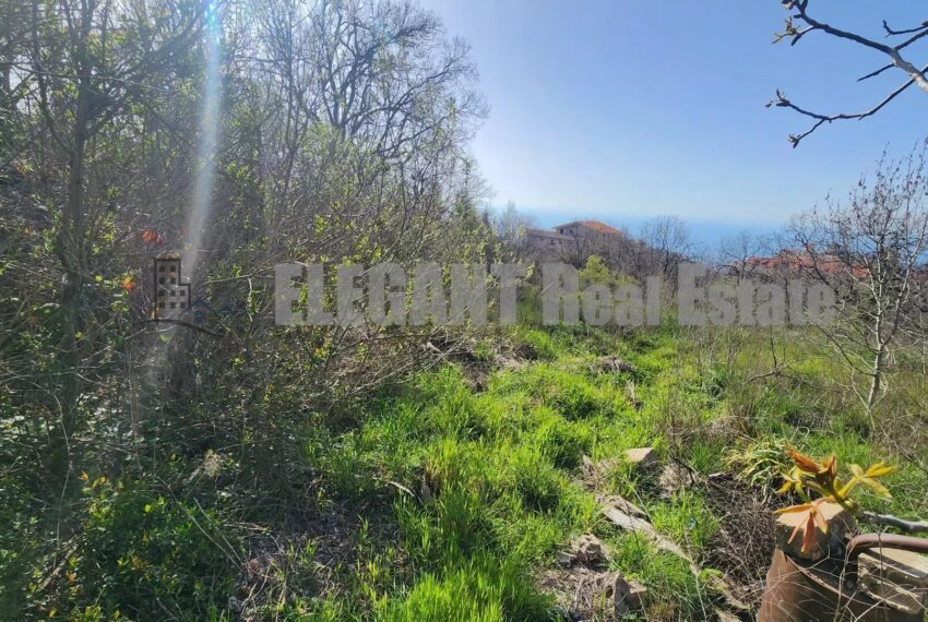 Picture-86773866-1-watermark