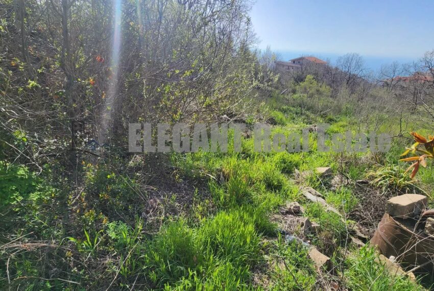 Picture-86773866-2-watermark