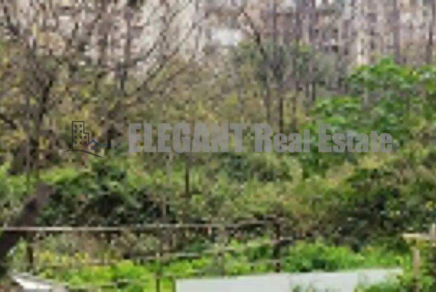 Picture-86784908-3-watermark