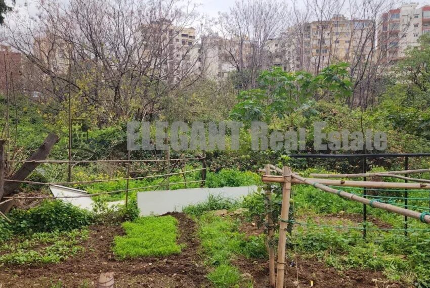 Picture-86784908-6-watermark