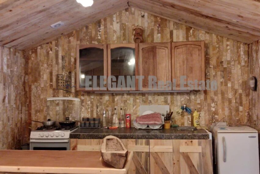 Picture-87077786-1-watermark