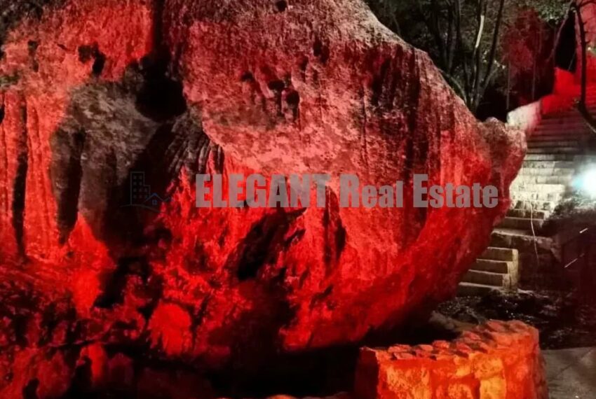 Picture-87077786-6-watermark