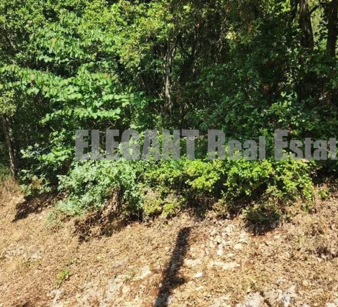 Picture-87095820-1-watermark