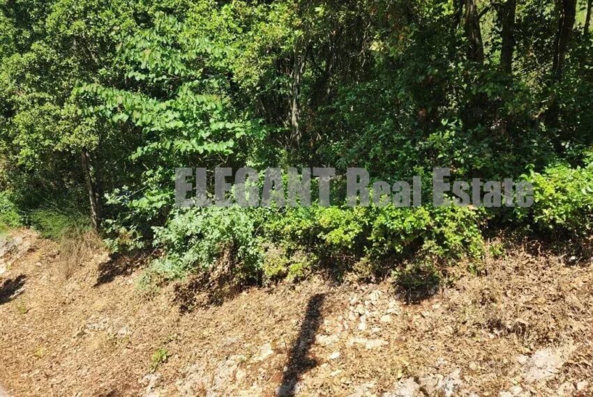Picture-87095820-1-watermark