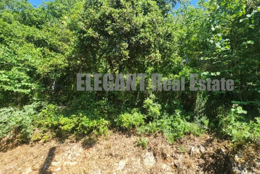 Picture-87095820-5-watermark