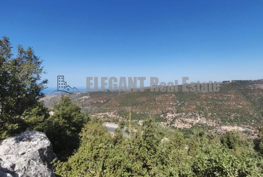 Picture-87097484-1-watermark