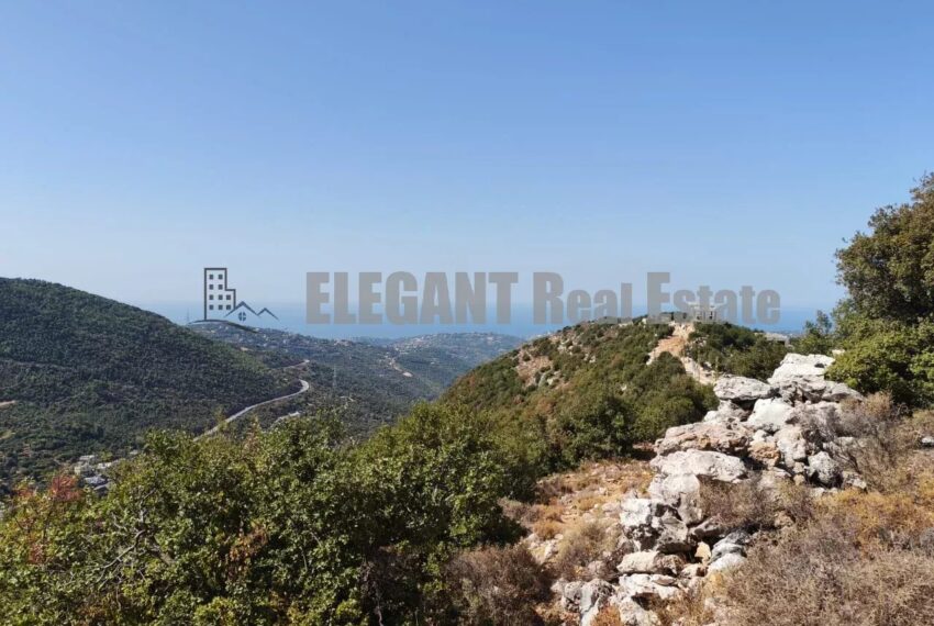 Picture-87097484-3-watermark