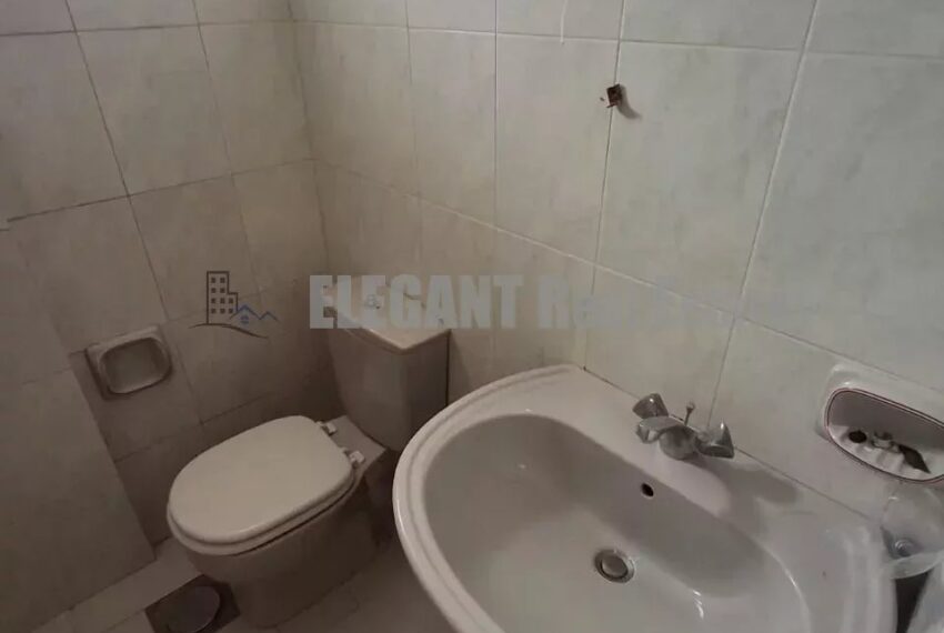Picture-87115952-10-watermark