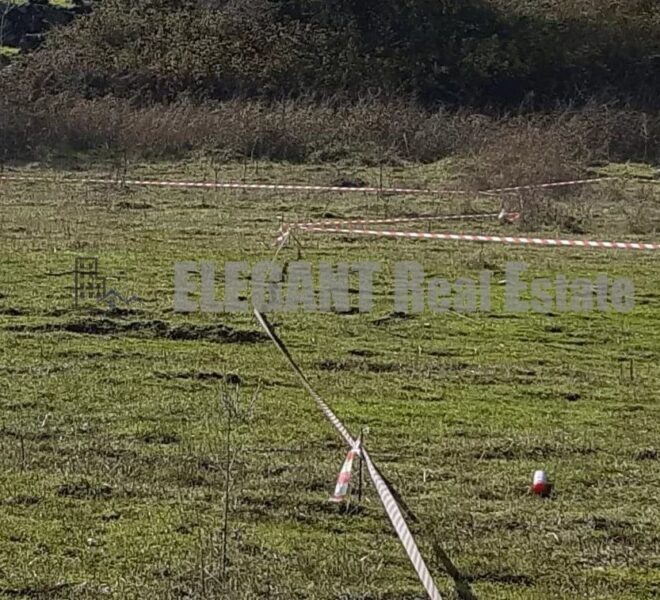 Picture-87148306-1-watermark