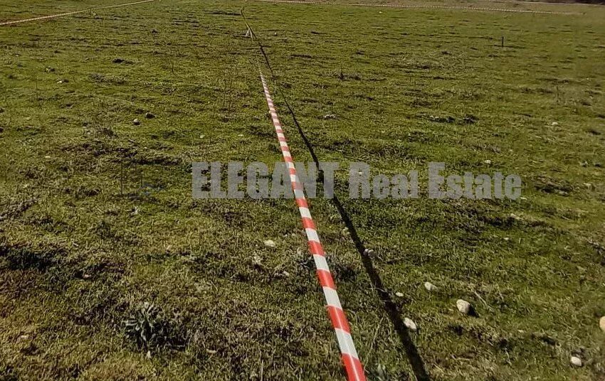 Picture-87148306-3-watermark